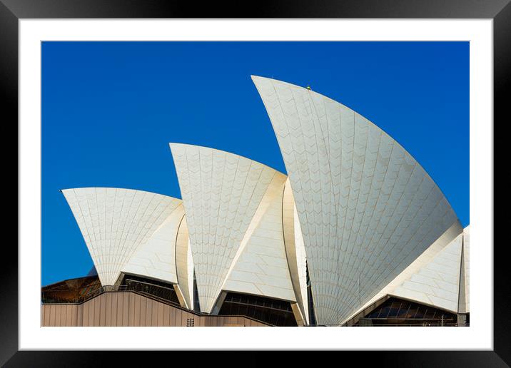 Man at work at the top of one of Sydney Opera Hous Framed Mounted Print by Andrew Michael