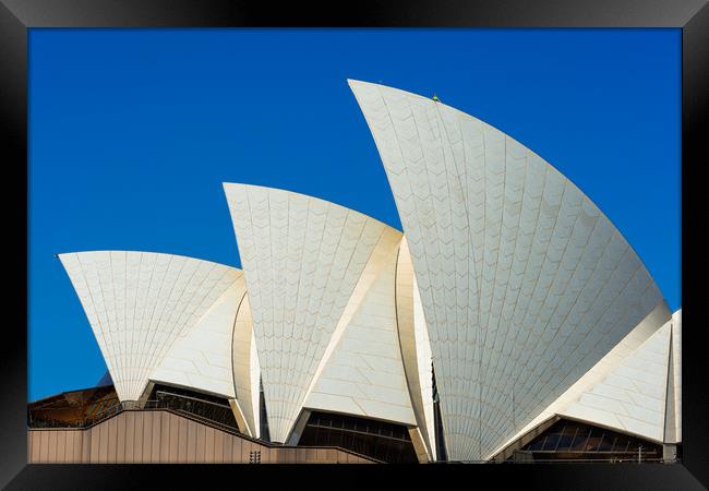 Man at work at the top of one of Sydney Opera Hous Framed Print by Andrew Michael