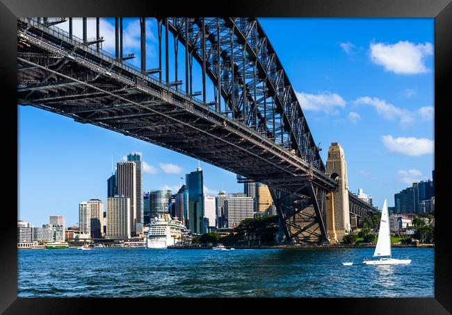 Sydney Harbour Bridge Framed Print by Andrew Michael