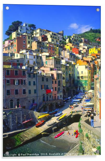 Riomaggiore, Italy Acrylic by Paul F Prestidge