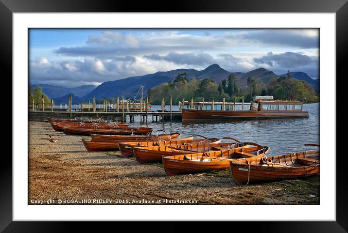 "Taking a rest after a hard day" Framed Mounted Print by ROS RIDLEY