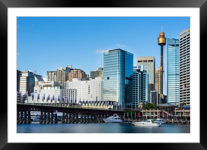 Cockle bay at Darling Harbour Framed Mounted Print by Andrew Michael