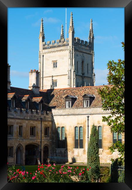 Pembroke College with the Pitt Building Framed Print by Andrew Michael