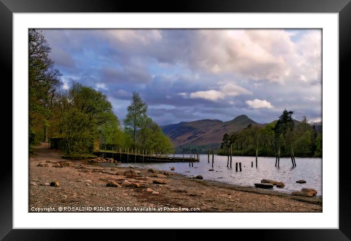 "Evening light Derwent water" Framed Mounted Print by ROS RIDLEY