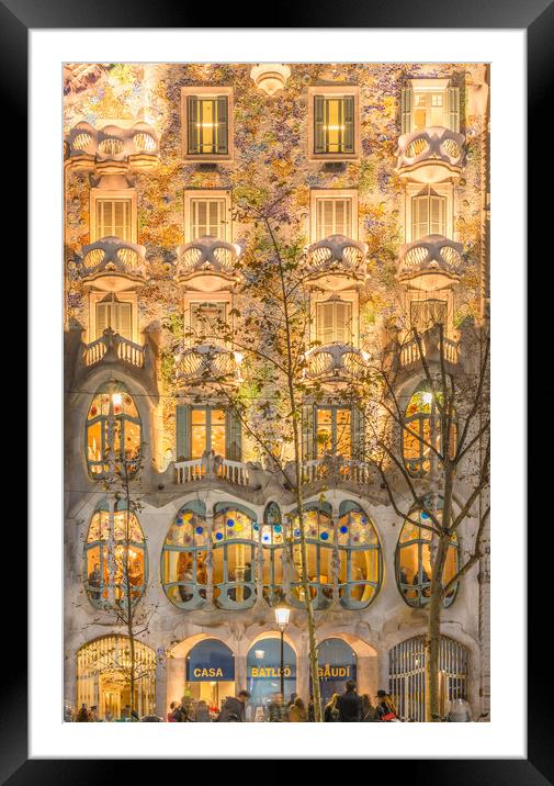 Casa Batllo Framed Mounted Print by Andrew Michael