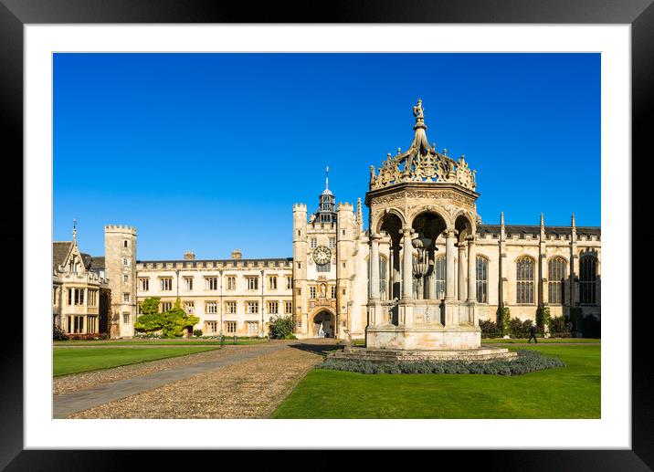 Trinity College Great Court  Framed Mounted Print by Andrew Michael