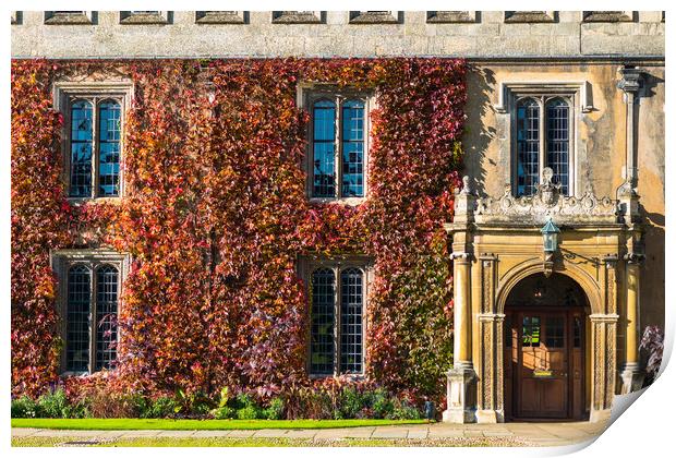 Trinity College Great Court building with ivy Print by Andrew Michael