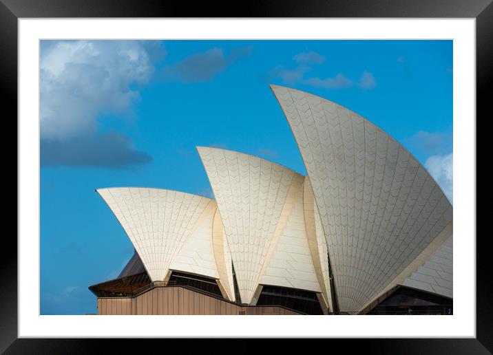 Sydney Opera House sails, Sydney, New South Wales, Framed Mounted Print by Andrew Michael