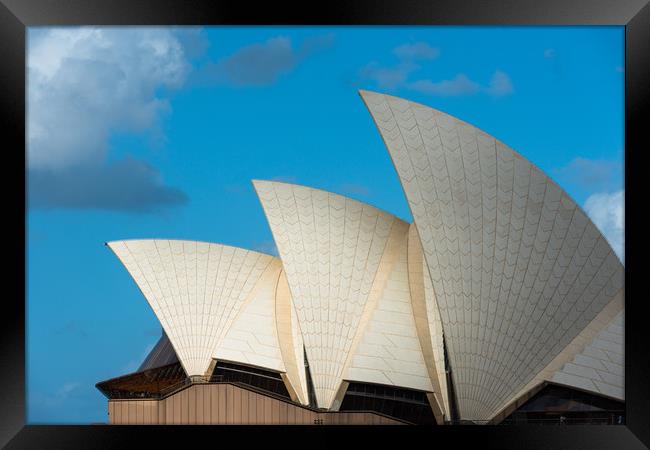 Sydney Opera House sails, Sydney, New South Wales, Framed Print by Andrew Michael