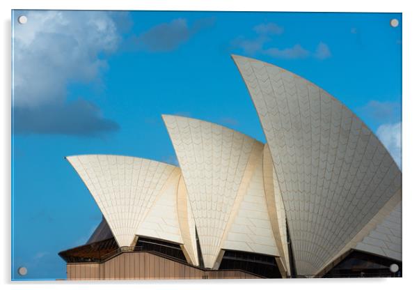 Sydney Opera House sails, Sydney, New South Wales, Acrylic by Andrew Michael