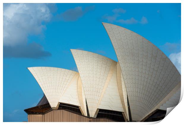 Sydney Opera House sails, Sydney, New South Wales, Print by Andrew Michael