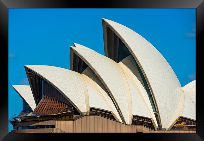 Sydney Opera house Framed Print by Andrew Michael