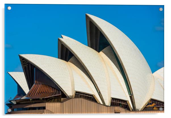 Sydney Opera house Acrylic by Andrew Michael