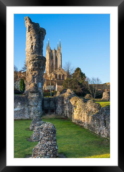 Bury St Edmunds Abbey Framed Mounted Print by Andrew Michael