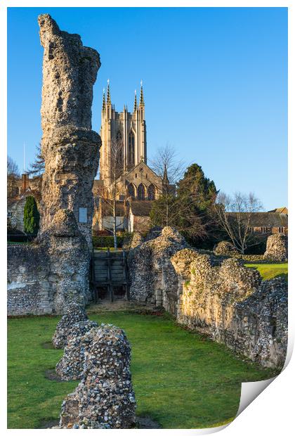 Bury St Edmunds Abbey Print by Andrew Michael