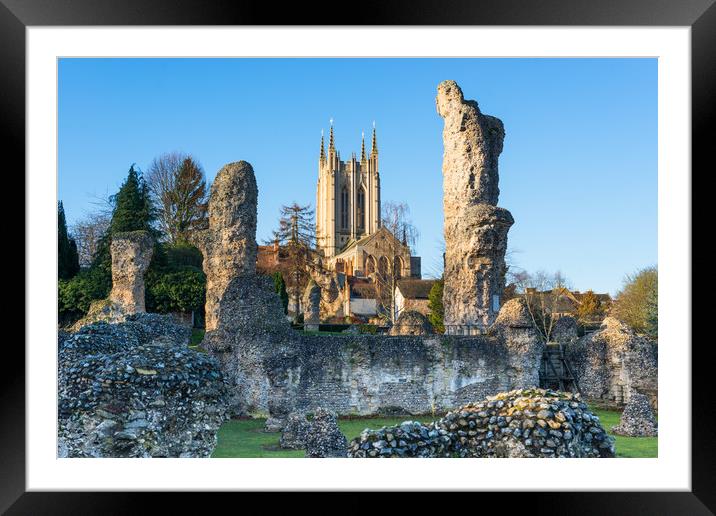 Bury St Edmunds Abbey Framed Mounted Print by Andrew Michael
