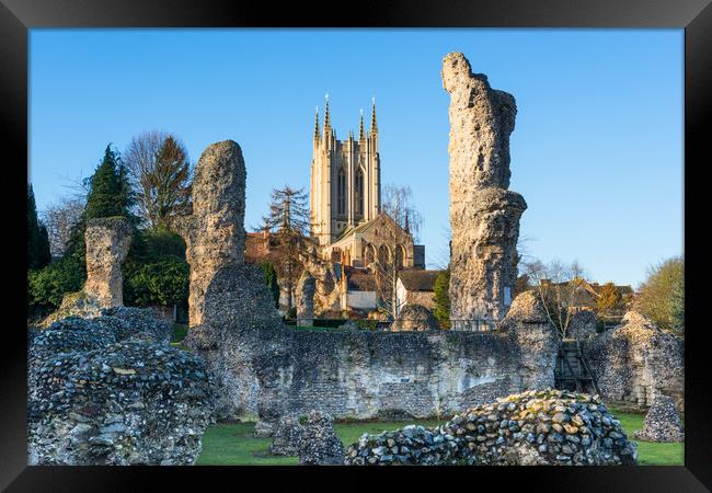 Bury St Edmunds Abbey Framed Print by Andrew Michael