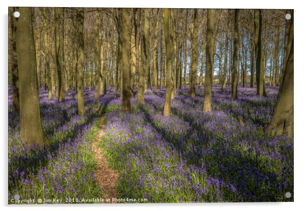 Walk through the Bluebells Acrylic by Jim Key