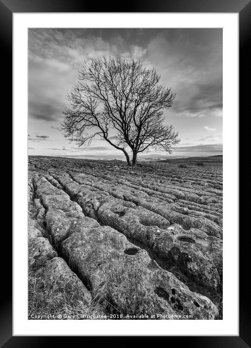 Moody Lone Tree Framed Mounted Print by Gary Clarricoates
