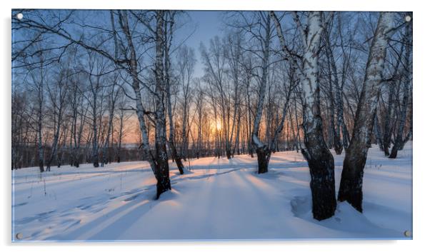 Winter evening in a birch grove Acrylic by Dobrydnev Sergei