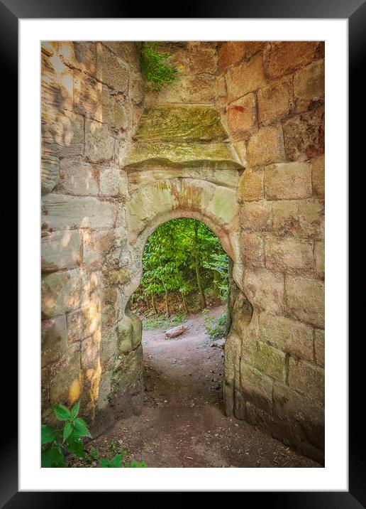 Rosslyn Castle Forest Entry Framed Mounted Print by Antony McAulay