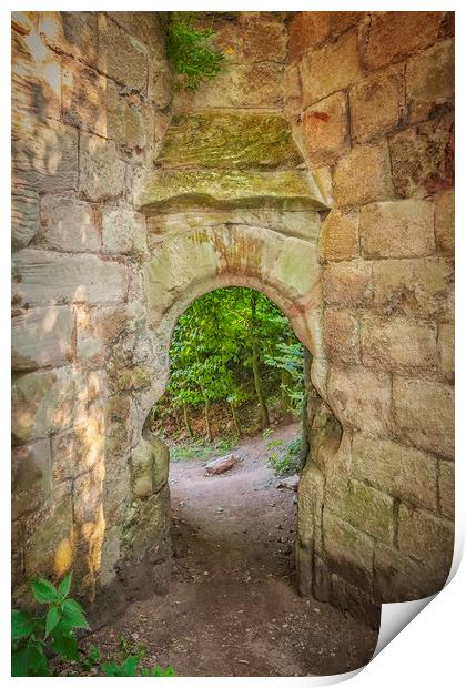 Rosslyn Castle Forest Entry Print by Antony McAulay