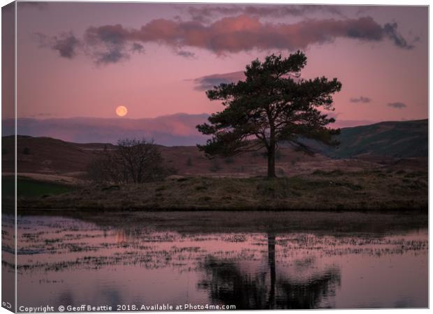 Full moon setting at sunrise in The Lake District Canvas Print by Geoff Beattie