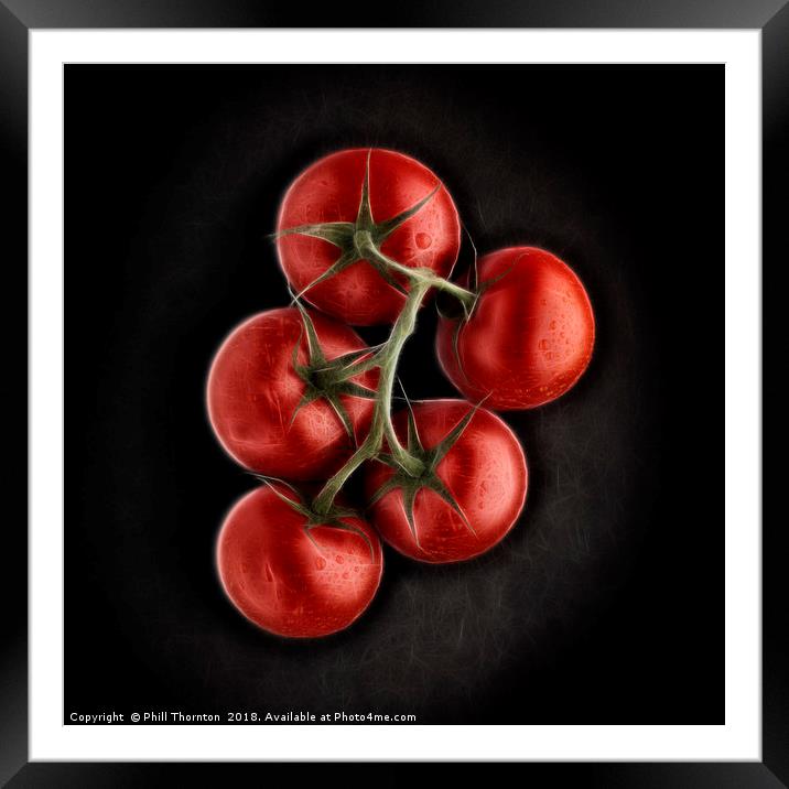 Vine ripened tomatoes. Framed Mounted Print by Phill Thornton