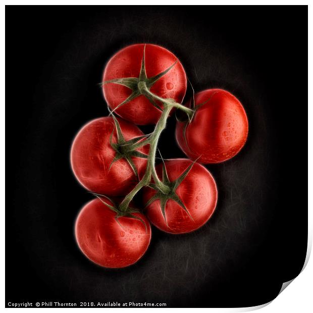 Vine ripened tomatoes. Print by Phill Thornton