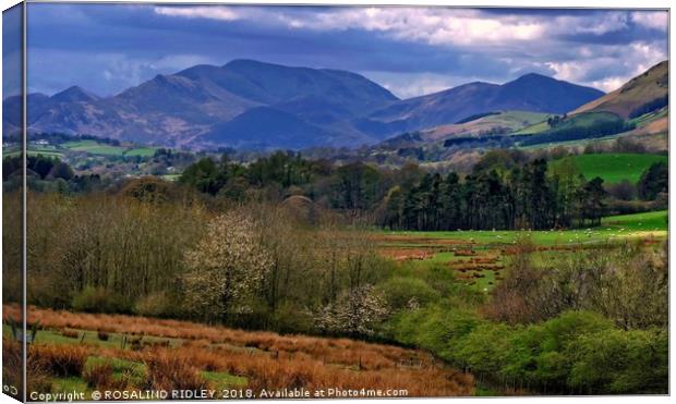 "Colours of Cumbria 2" Canvas Print by ROS RIDLEY