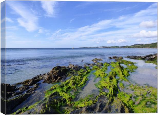 Colours of the shore Canvas Print by Paul Trembling