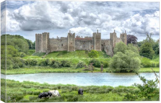 Castle on the Hill - Framlingham Canvas Print by David Stanforth