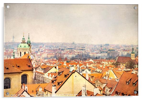 Roofs of Prague Acrylic by Svetlana Sewell