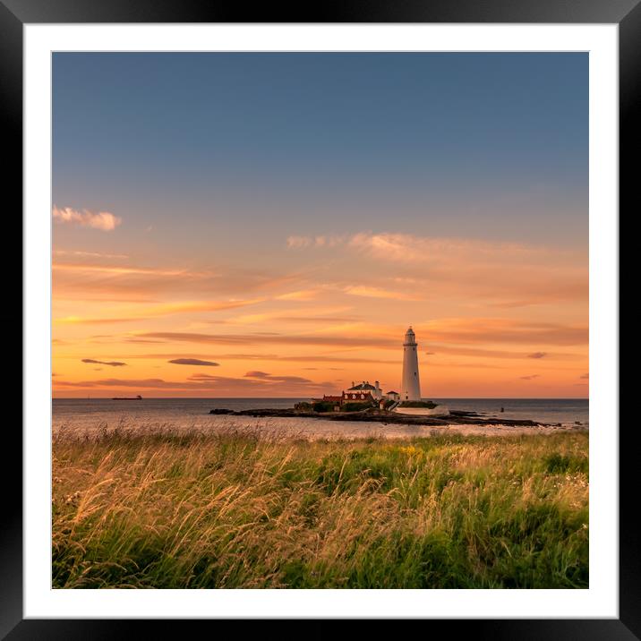 Welcoming the Warmth to our Shores Framed Mounted Print by Naylor's Photography