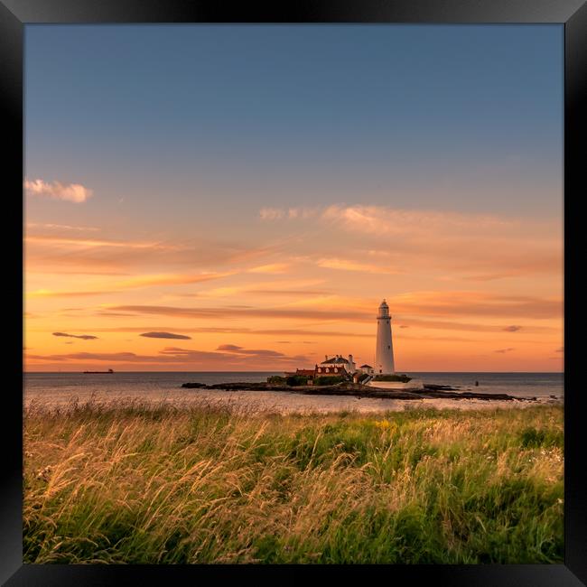 Welcoming the Warmth to our Shores Framed Print by Naylor's Photography