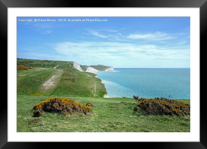 The Seven Sisters Footpath Framed Mounted Print by Diana Mower