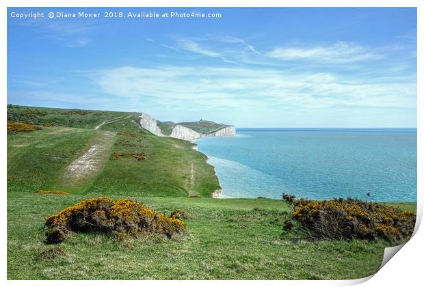 The Seven Sisters Footpath Print by Diana Mower