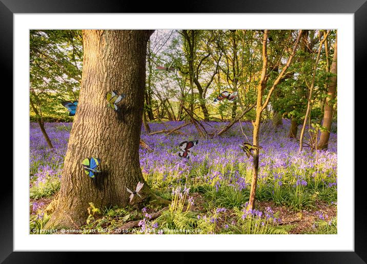 Butterflies in a blubell woodland Framed Mounted Print by Simon Bratt LRPS