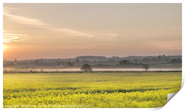Springtime and a Misty Sunrise Print by Jim Key
