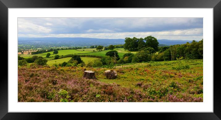 what a view Framed Mounted Print by sue davies
