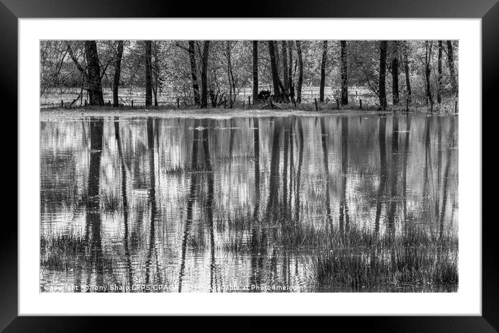REFLECTIONS IN A FLOODED MEADOW Framed Mounted Print by Tony Sharp LRPS CPAGB