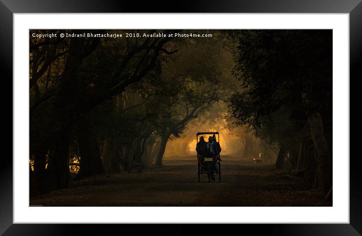 A Misty Morning at Keoladeo Framed Mounted Print by Indranil Bhattacharjee
