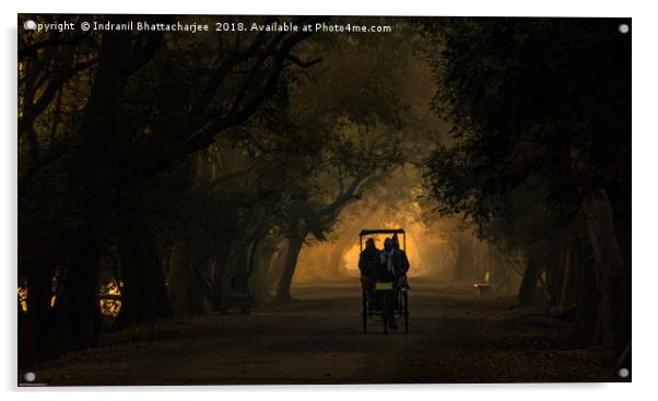 A Misty Morning at Keoladeo Acrylic by Indranil Bhattacharjee