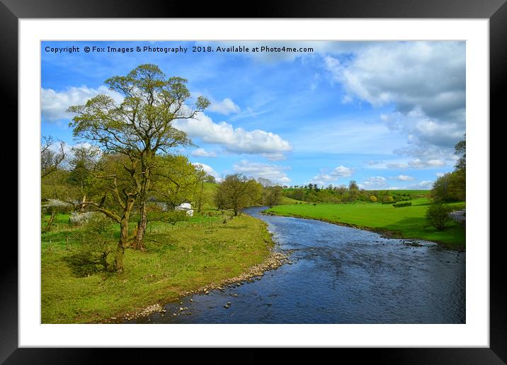 River Ribble at paythorne Framed Mounted Print by Derrick Fox Lomax