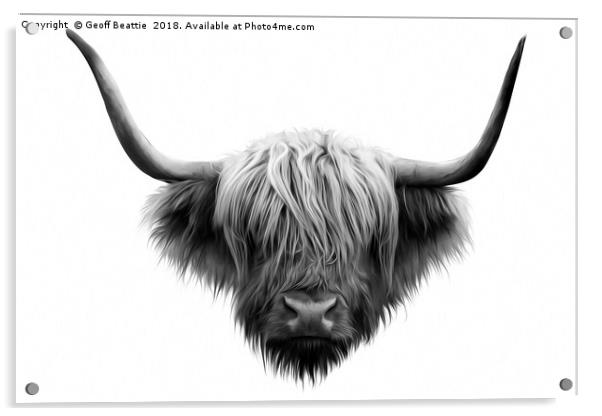 Highland cow cattle black and white abstract art Acrylic by Geoff Beattie