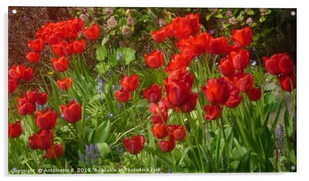 Tulips Acrylic by Antoinette B
