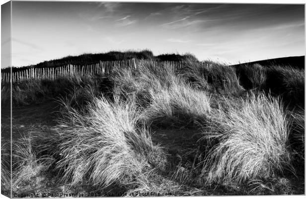 Marram Grass on the Dunes at Bantham Canvas Print by Paul F Prestidge