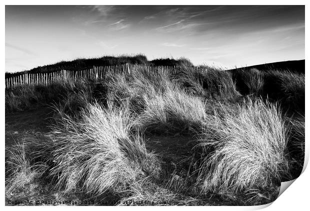 Marram Grass on the Dunes at Bantham Print by Paul F Prestidge