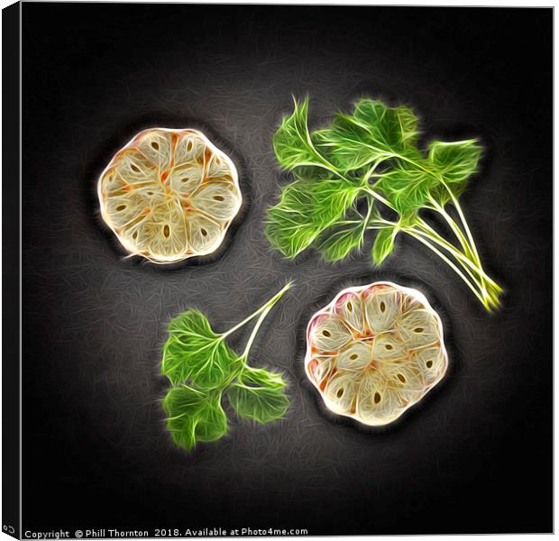 Coriander & Garlic still life. Canvas Print by Phill Thornton