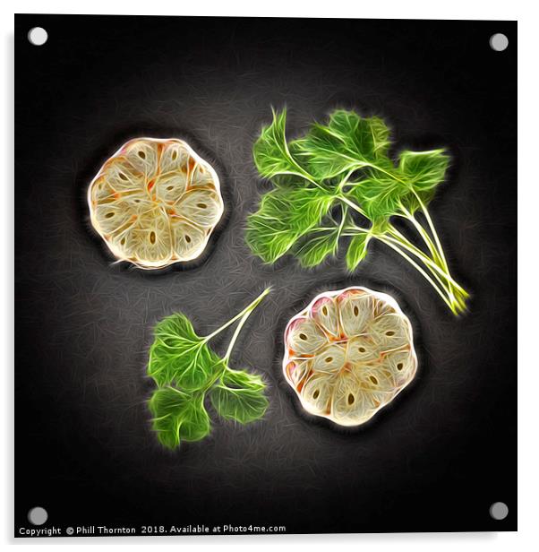 Coriander & Garlic still life. Acrylic by Phill Thornton